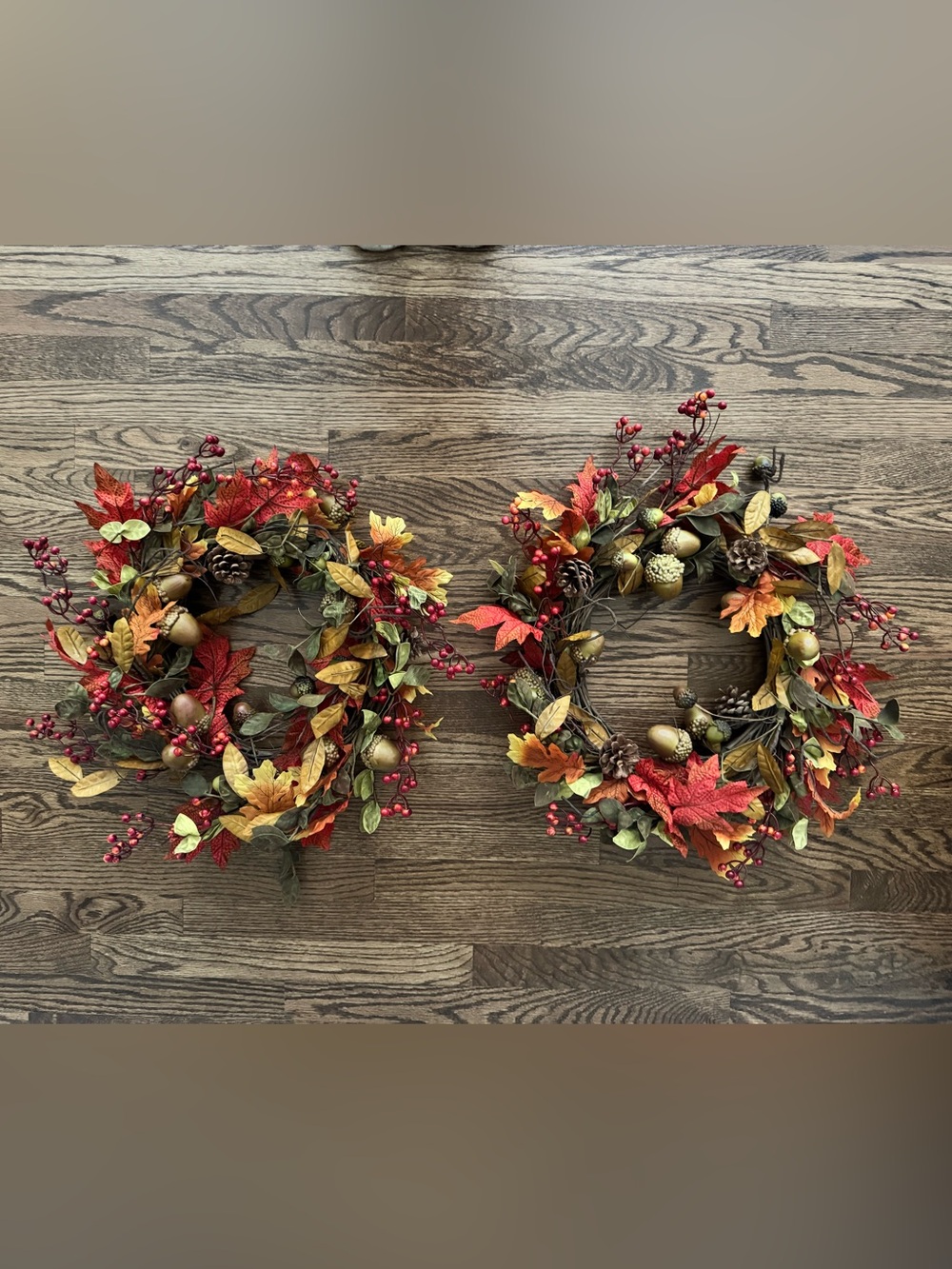 Pottery Barn Set of 2 Fall Wreaths 19” Acorns Berries Pinecones Autumn